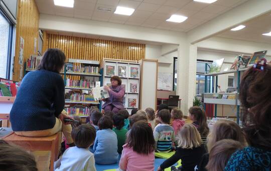 Réseau des bibliothèques - Idélire