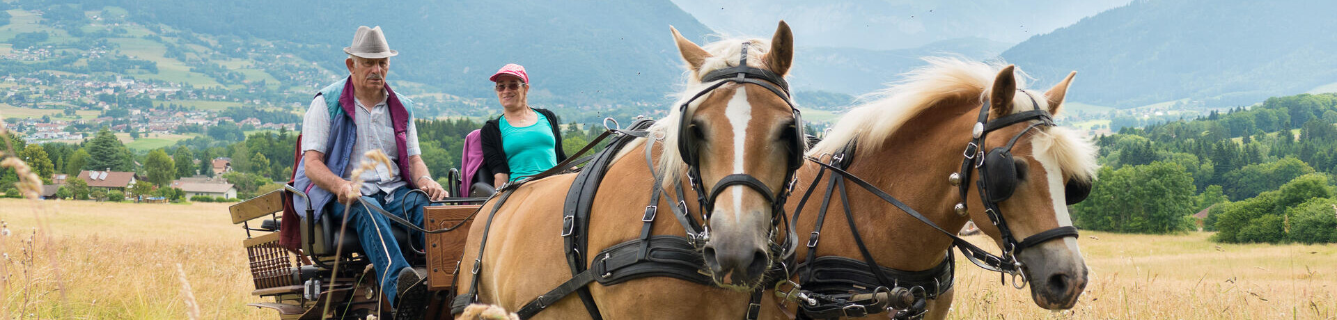 Equitation