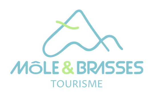 moles-brasses.com
