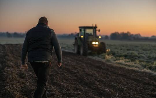 Les producteurs locaux